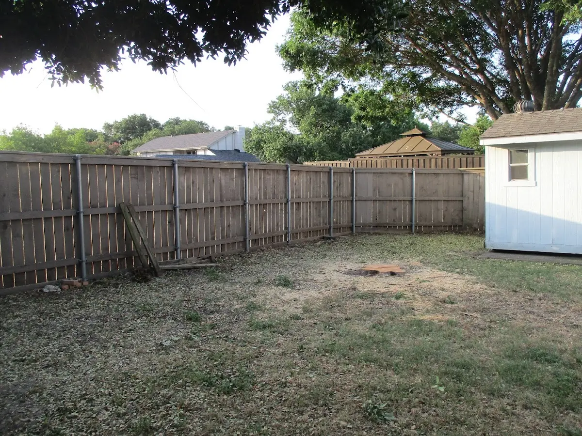 Cleared yard after professional tree removal in White Swan